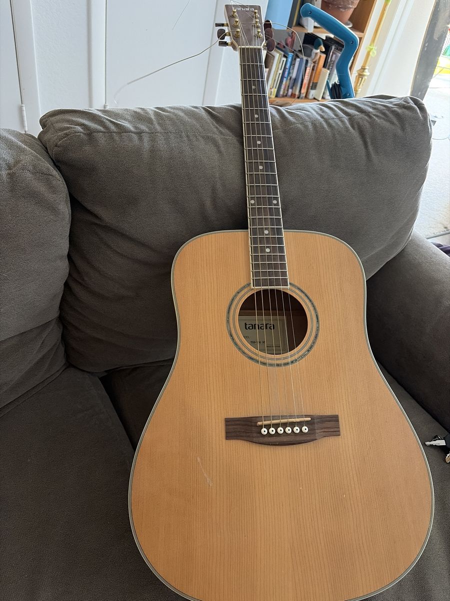 Tanara TSD-100 NT Acoustic Guitar - Natural Wood Finish