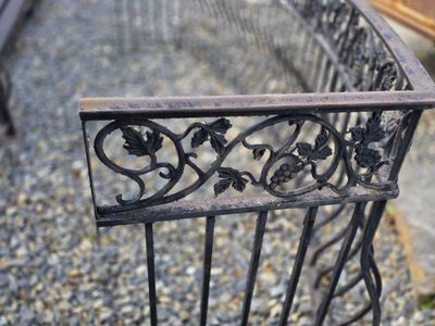 Ornate Wrought Iron Balcony Railing - Curved Design with Grapevine Accents, 10 ft Length