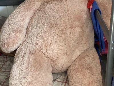 6' Stuffed Bear