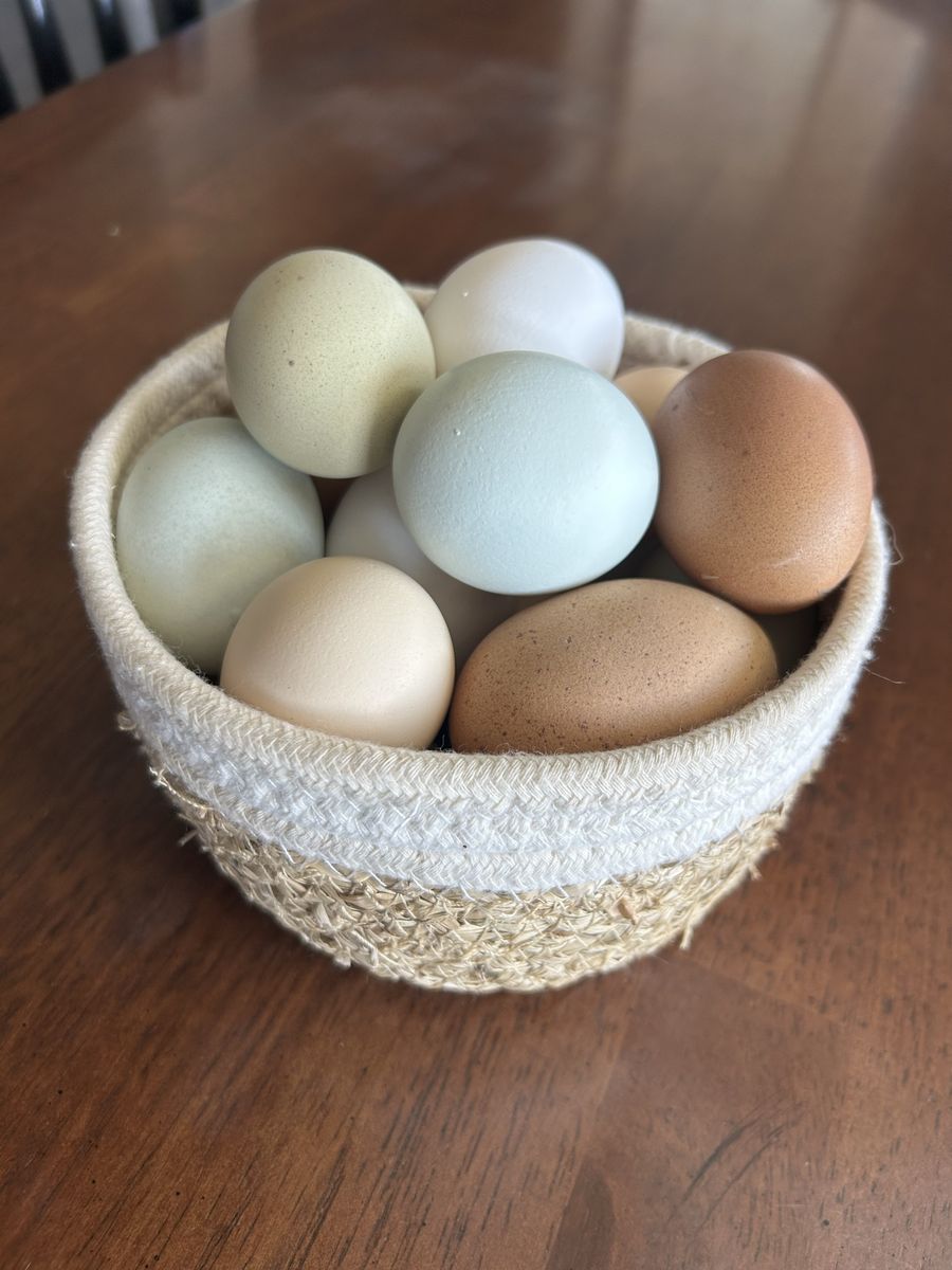 Beautful Farm Fresh Eggs