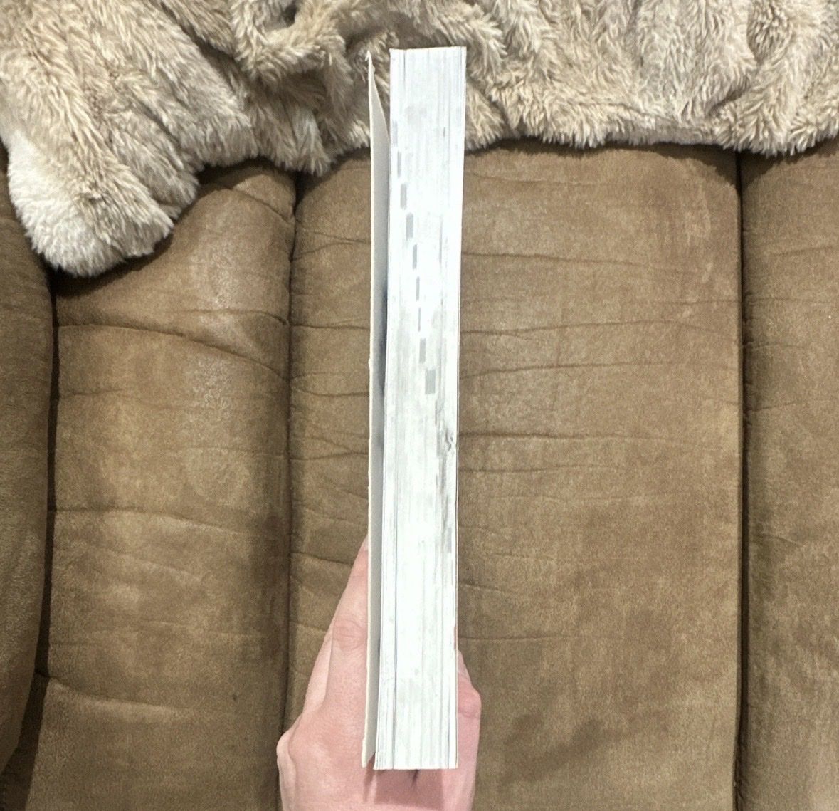 Main image 3