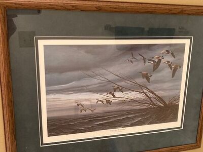 artist colorful print