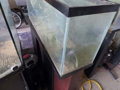 55 gallon with stand no leaks no cracks