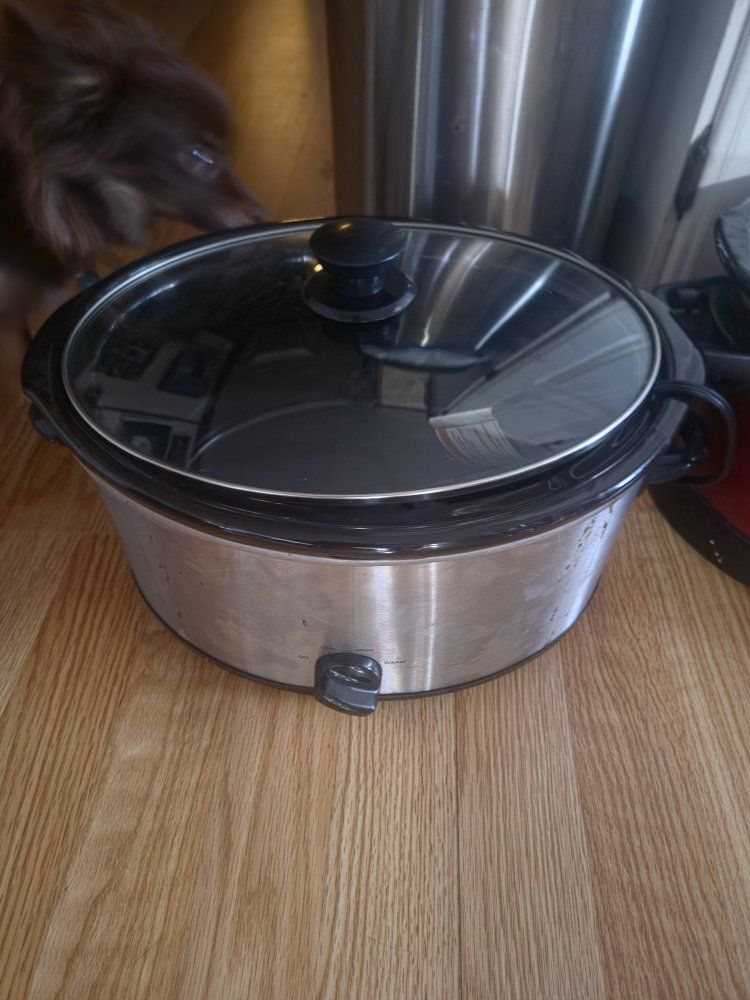 Stainless Steel Slow Cooker with Glass Lid