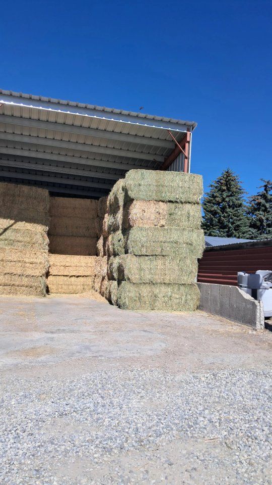 Premium Horse Hay Bales -Sainfoin  Fresh, High-Quality NO BLOAT  Feed for all Livestock