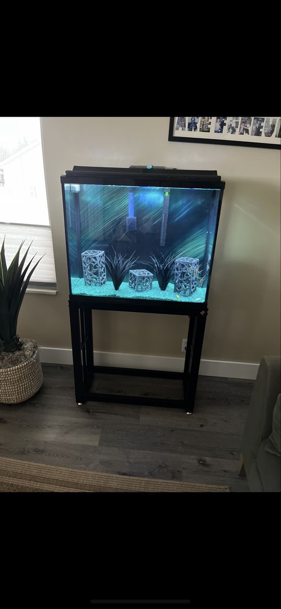 40 gallon aquarium, master