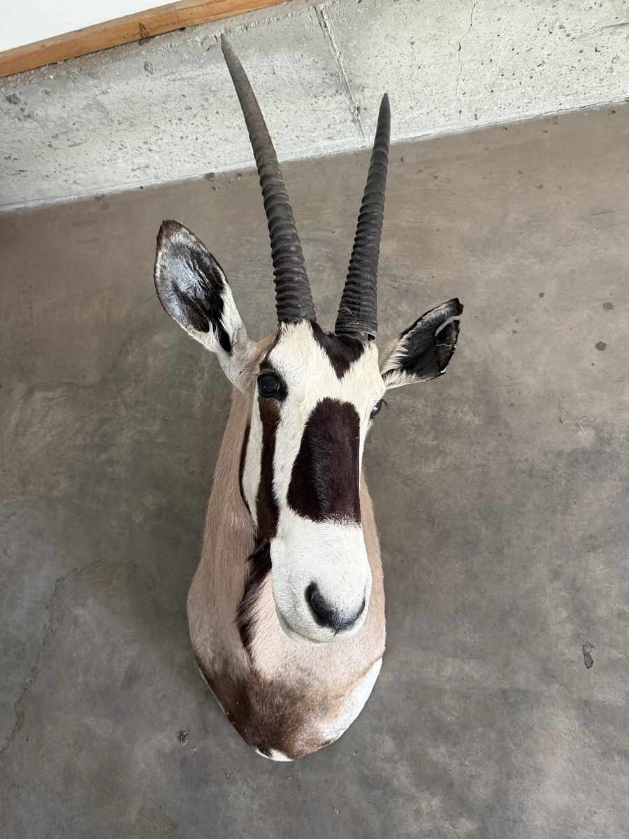 Gimsbok Mount