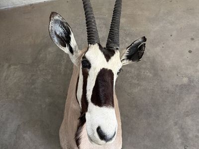 Gimsbok Mount