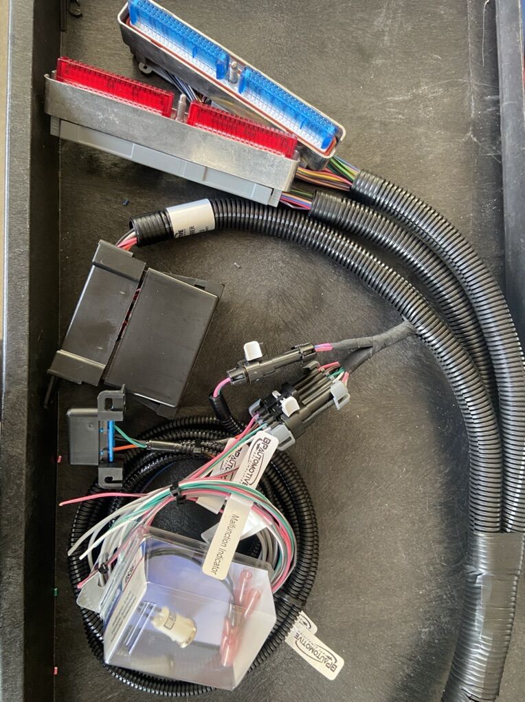 99 TO 02 LS Stand Alone Engine Harness