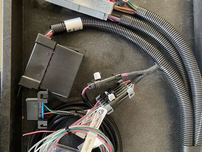 99 TO 02 LS Stand Alone Engine Harness