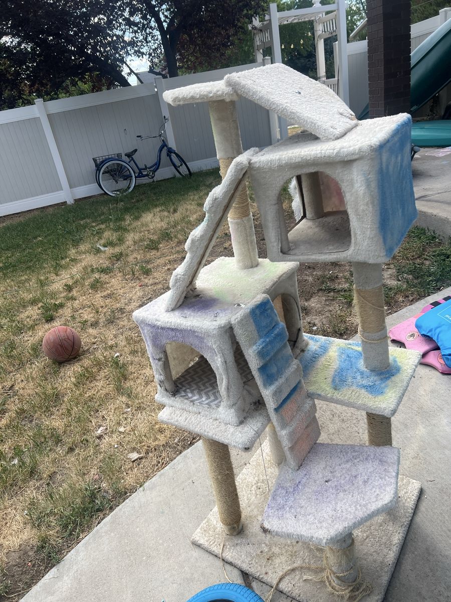 Multi-Level Cat Tree with Scratching Posts & Cat Condo - Well-Used Condition
