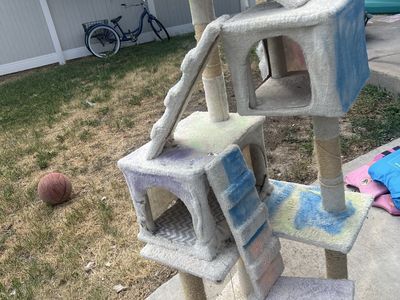 Multi-Level Cat Tree with Scratching Posts & Cat Condo - Well-Used Condition