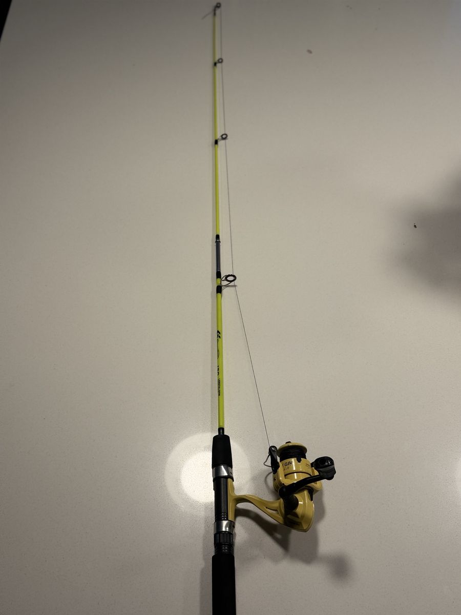 Eagle Claw Fishing Rod