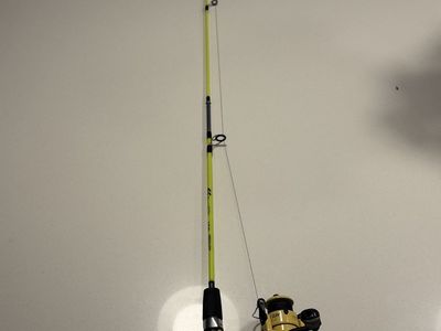 Eagle Claw Fishing Rod