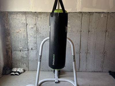 Everlast Punching bag & stand