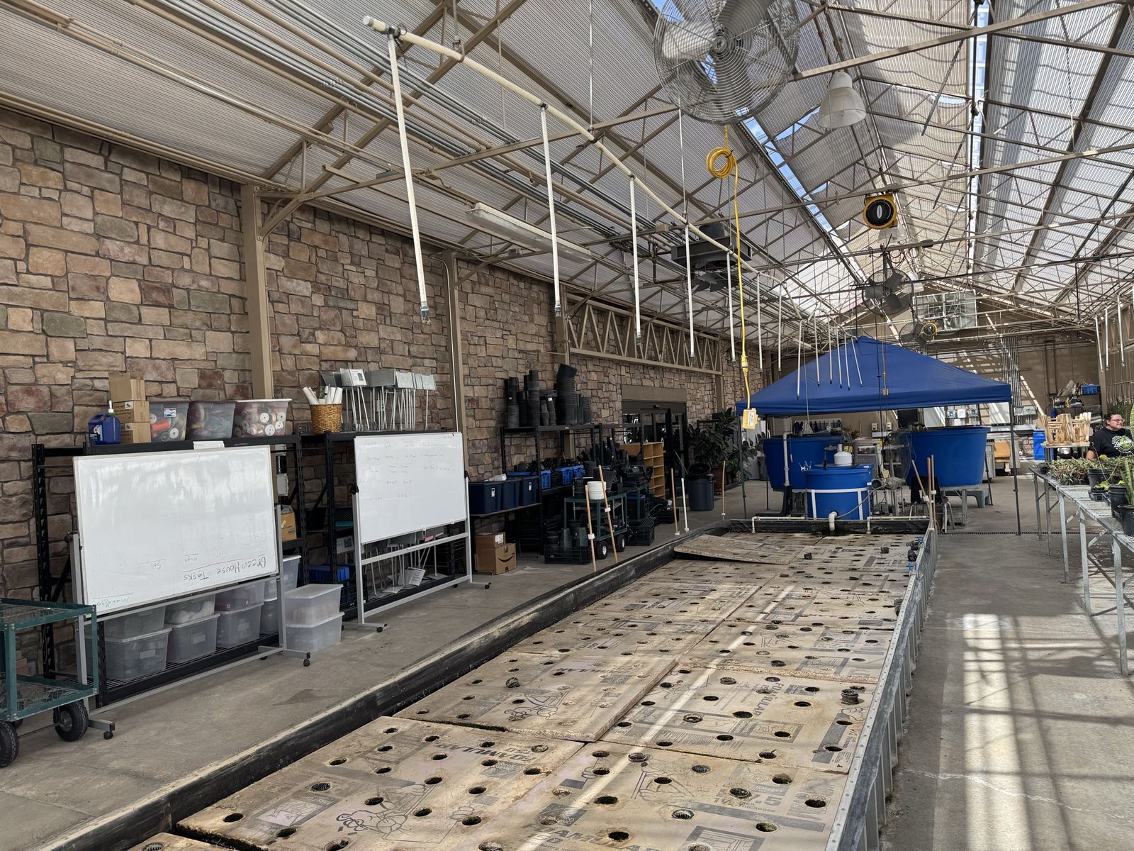 Commercial Aquaponic System – Deep Water Culture / Raft System
