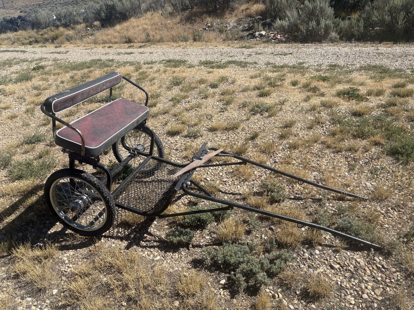 Pony Cart with harnesses 