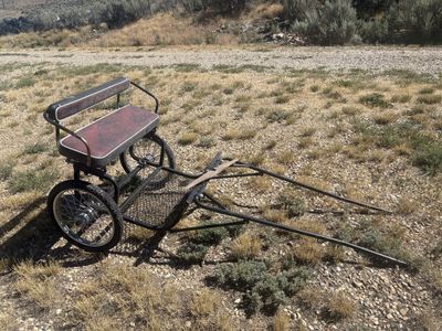 Pony Cart with harnesses
