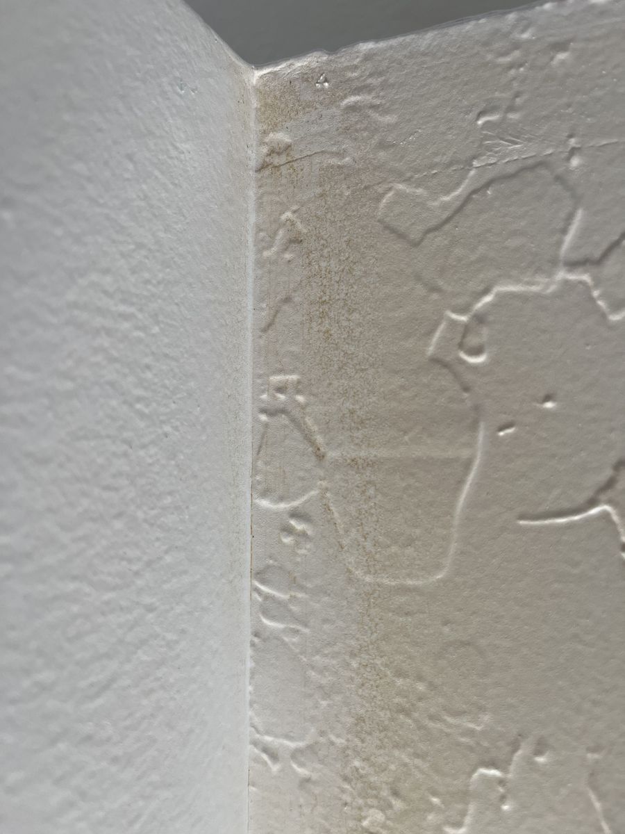 Main image 2