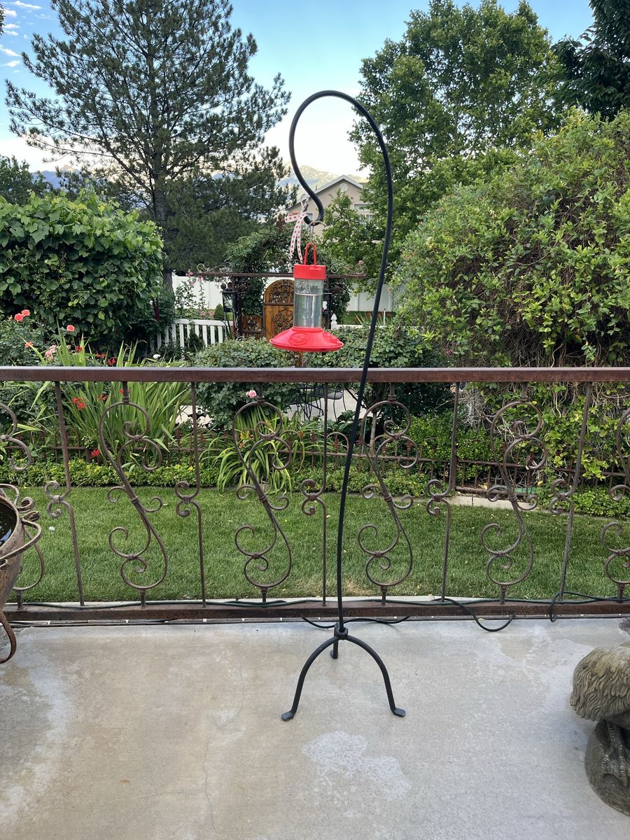 Main image 4