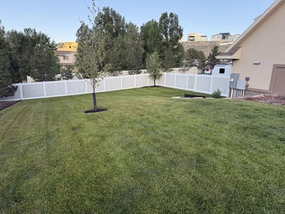 Lawn Maintenance | Professional Lawn Care |