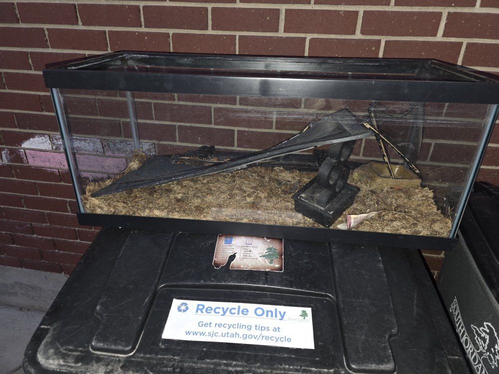 Glass Reptile Terrarium 20 Gallon Long Tank 30x12x12 Inches