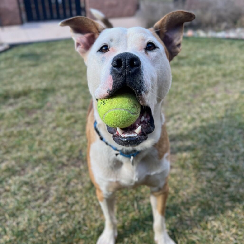 Hello my name is Axl