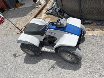 Yamaha Breeze