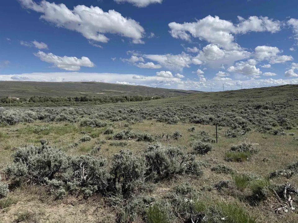 Main image 17