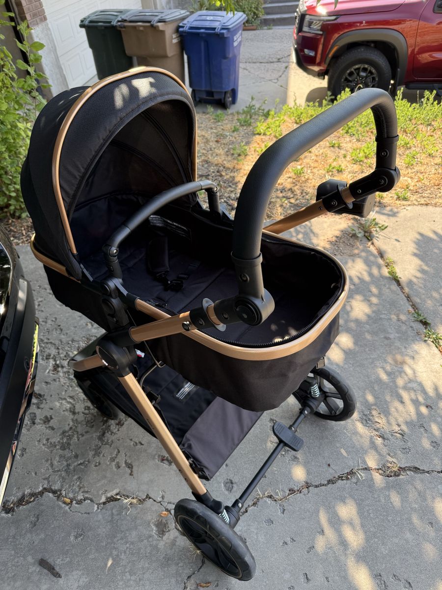 Accombe Gold/Black 2-in-1 Baby Stroller & Bassinet Combo with Gold Frame, Gently Used