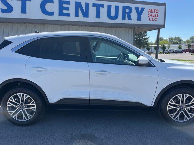 Main image 14