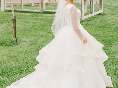 Wedding Dress and Veil