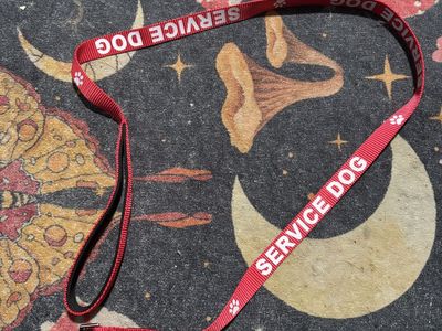 Service Dog Leash