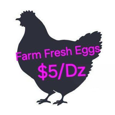 Farm Fresh eggs