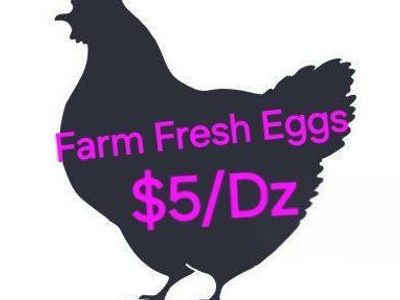 Farm Fresh eggs
