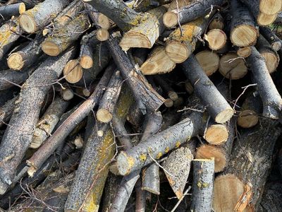 Firewood, free