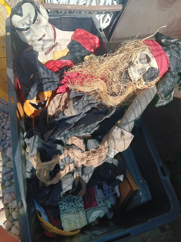 Halloween Decor Lot: Vampire, Pirate Skull, Body Parts, Pumpkin
