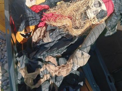 Halloween Decor Lot: Vampire, Pirate Skull, Body Parts, Pumpkin