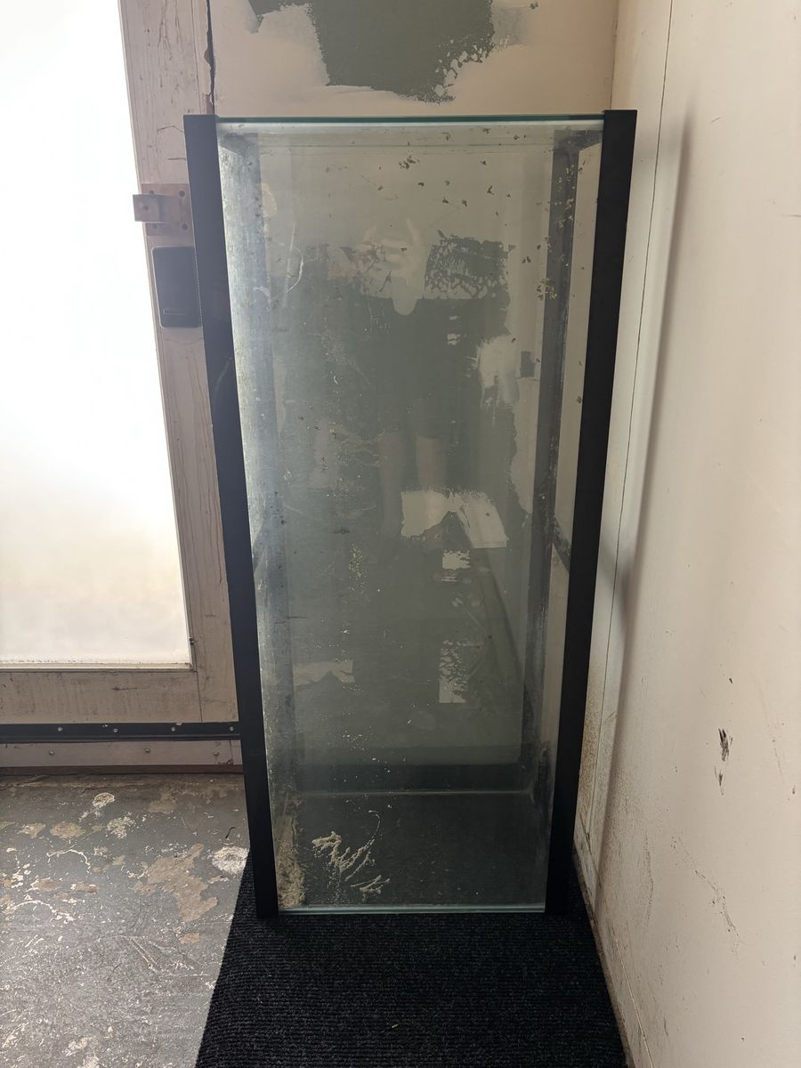 55 gallon aquarium in good condition