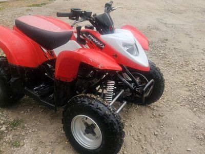 Polaris Phoenix 2008