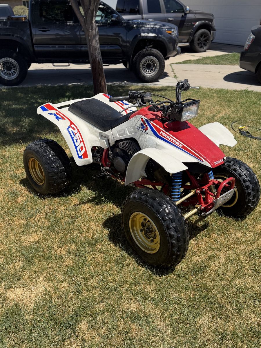 All ORIGINAL HONDA TRX 250r 1986