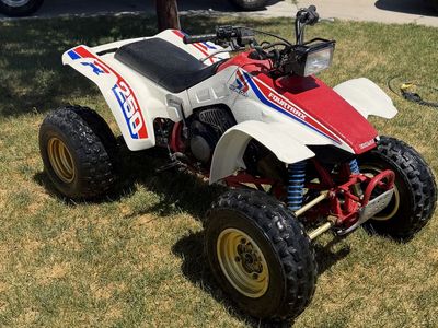 All ORIGINAL HONDA TRX 250r 1986