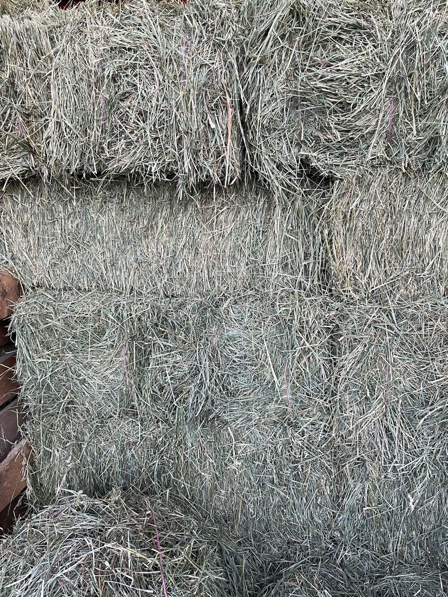 Small Bale Grass Hay
