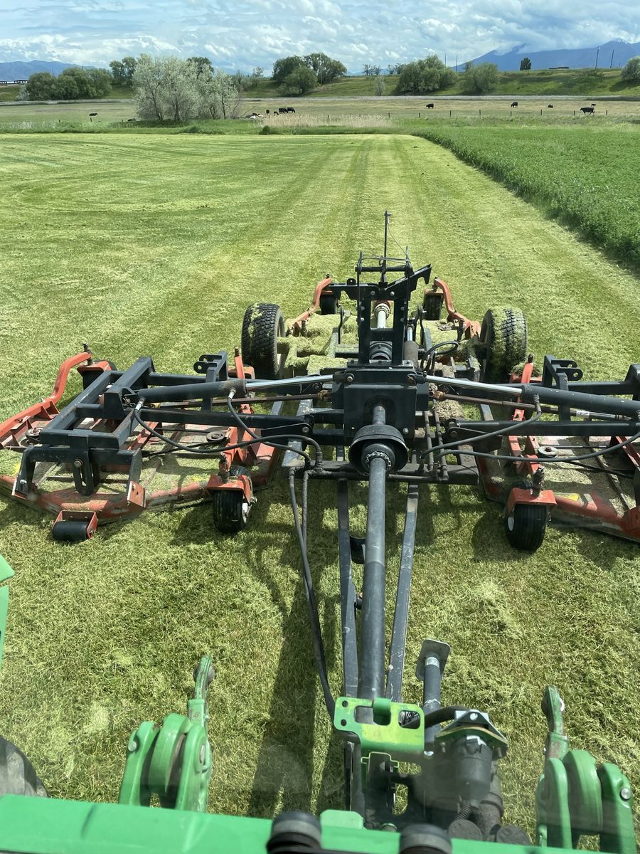 100% Kentucky Blue Grass Locally Grown 