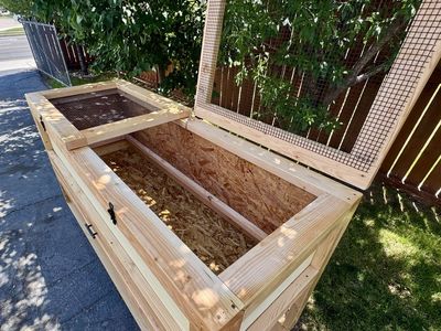 New Chicken Brooder Box