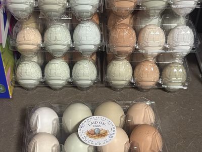 Fresh eggs