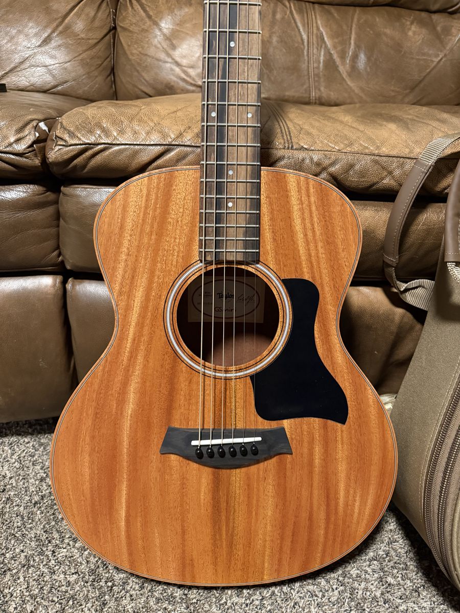 Taylor GS Mini Mahogany NEW