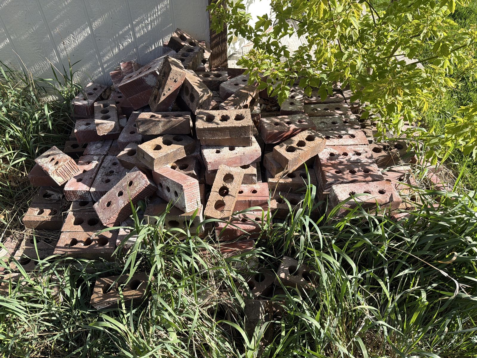 Free bricks!!
