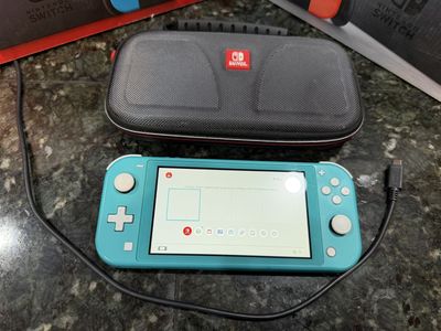 Nintendo SWITCH LITE (others; Regular, OLED, Animal Crossing)
