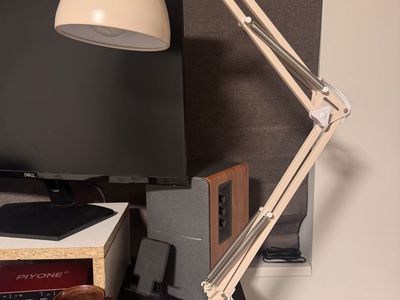 Pink Articulating Desk Lamp
